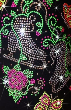 Ice Skating Jacket With "Summer Skates" Design -Online Skating Store 2 52248.1545319660